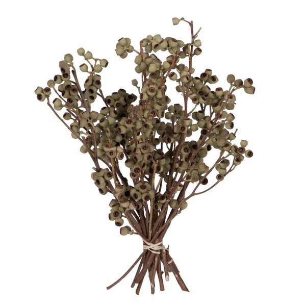 Vickerman 14 x 1-3 in. Ambernut Branch Bunch, Natural - 20 Piece H1ABN000 - main